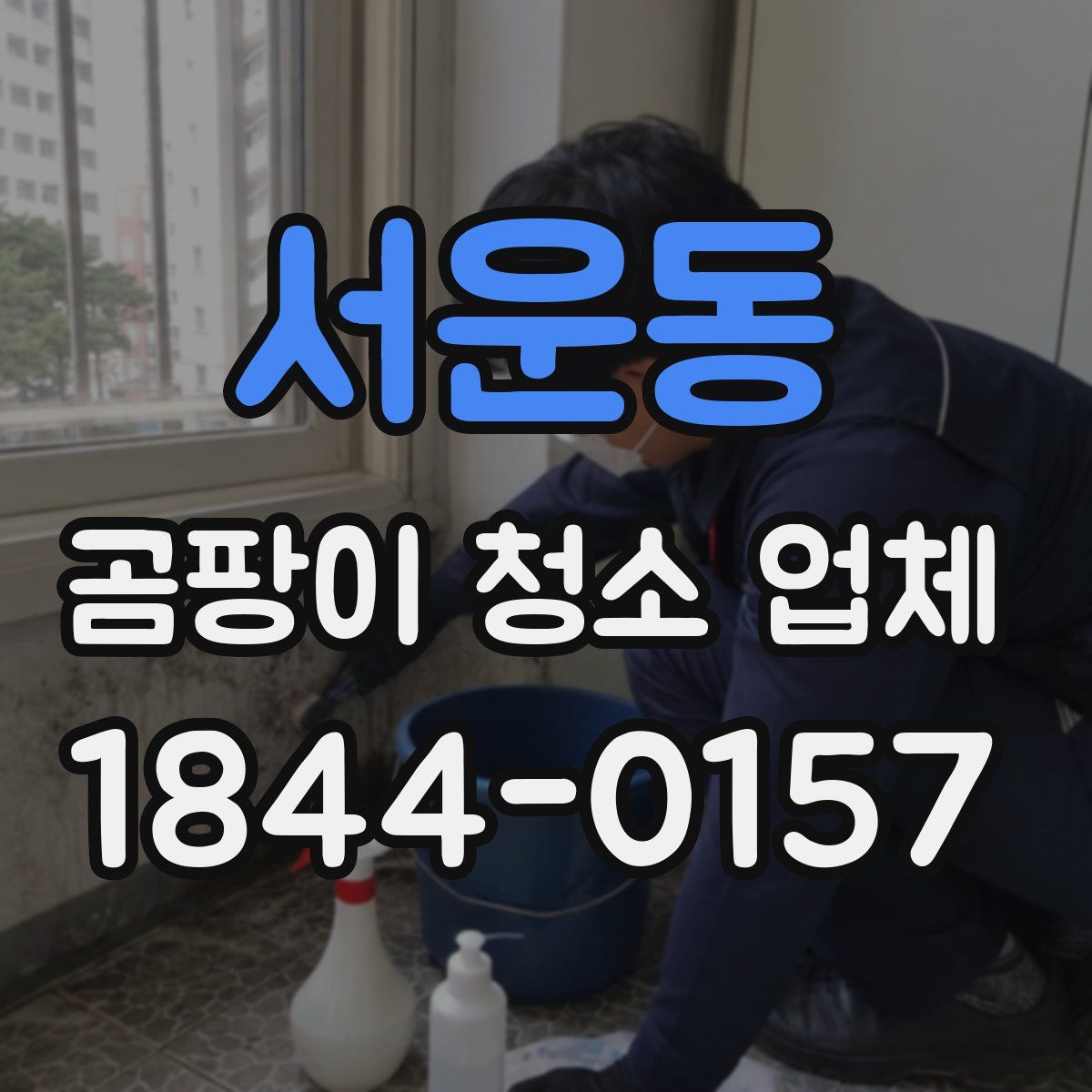 서운동 곰팡이 청소 업체