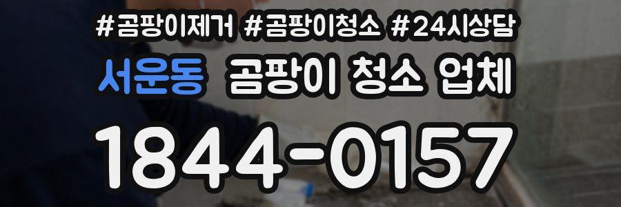 서운동 곰팡이 청소 업체