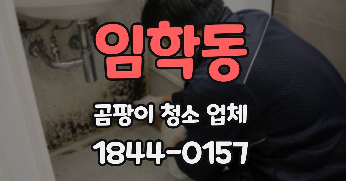 임학동 곰팡이 청소 업체
