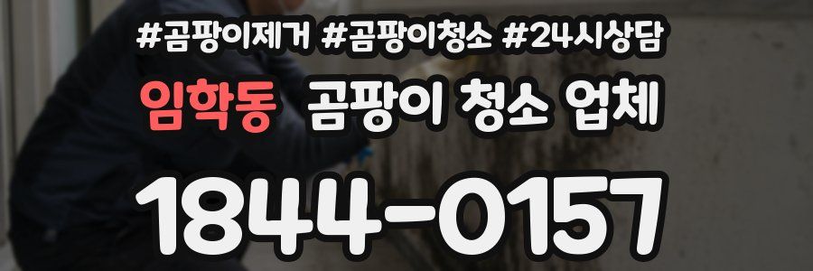임학동 곰팡이 청소 업체