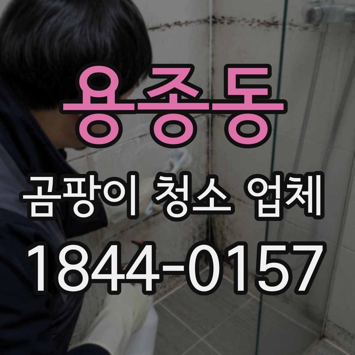 용종동 곰팡이 청소 업체