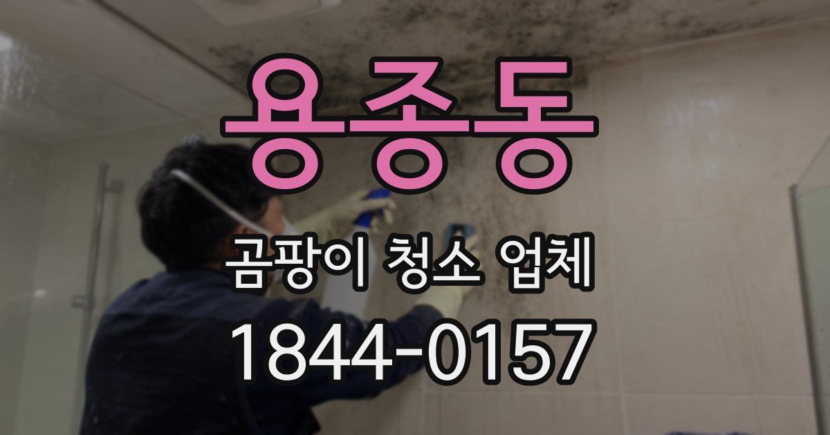 용종동 곰팡이 청소 업체