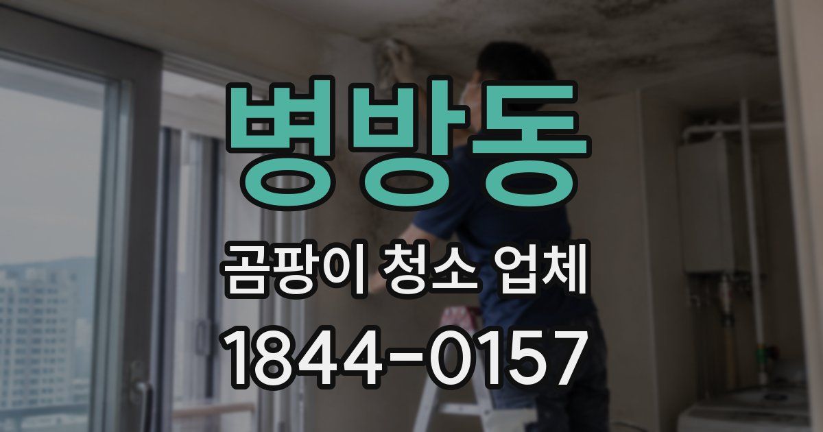 병방동 곰팡이 청소 업체