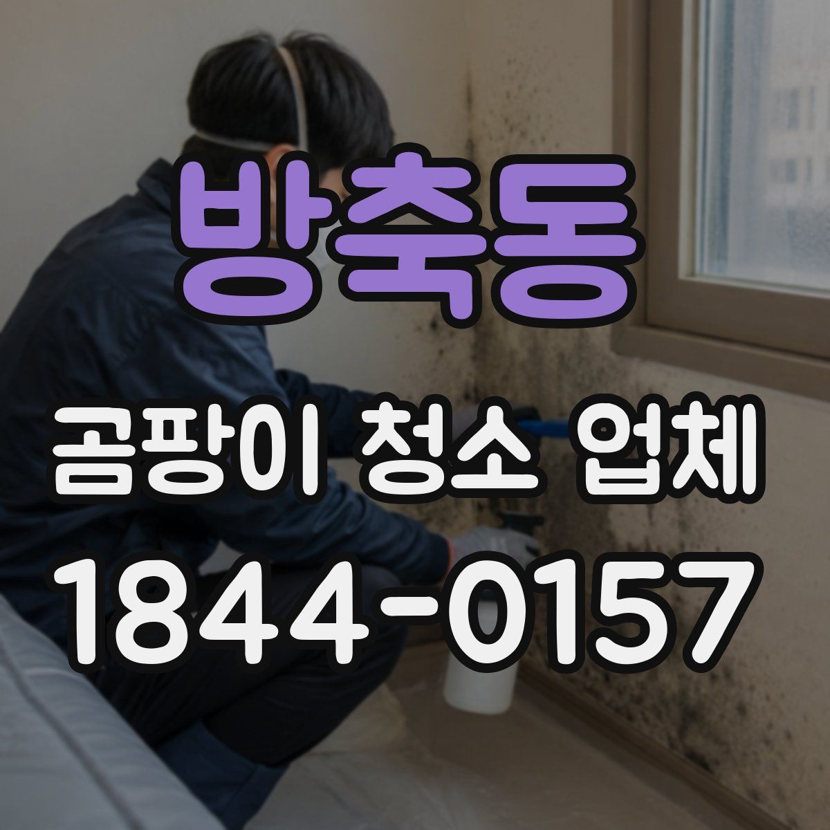 방축동 곰팡이 청소 업체