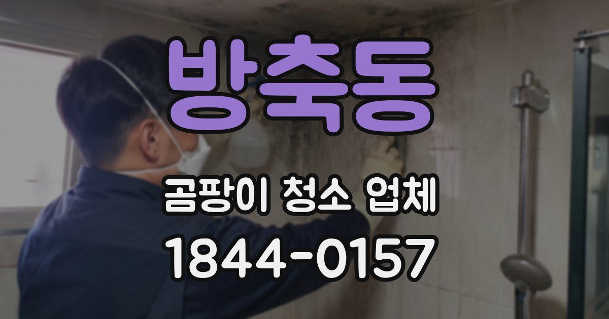 방축동 곰팡이 청소 업체
