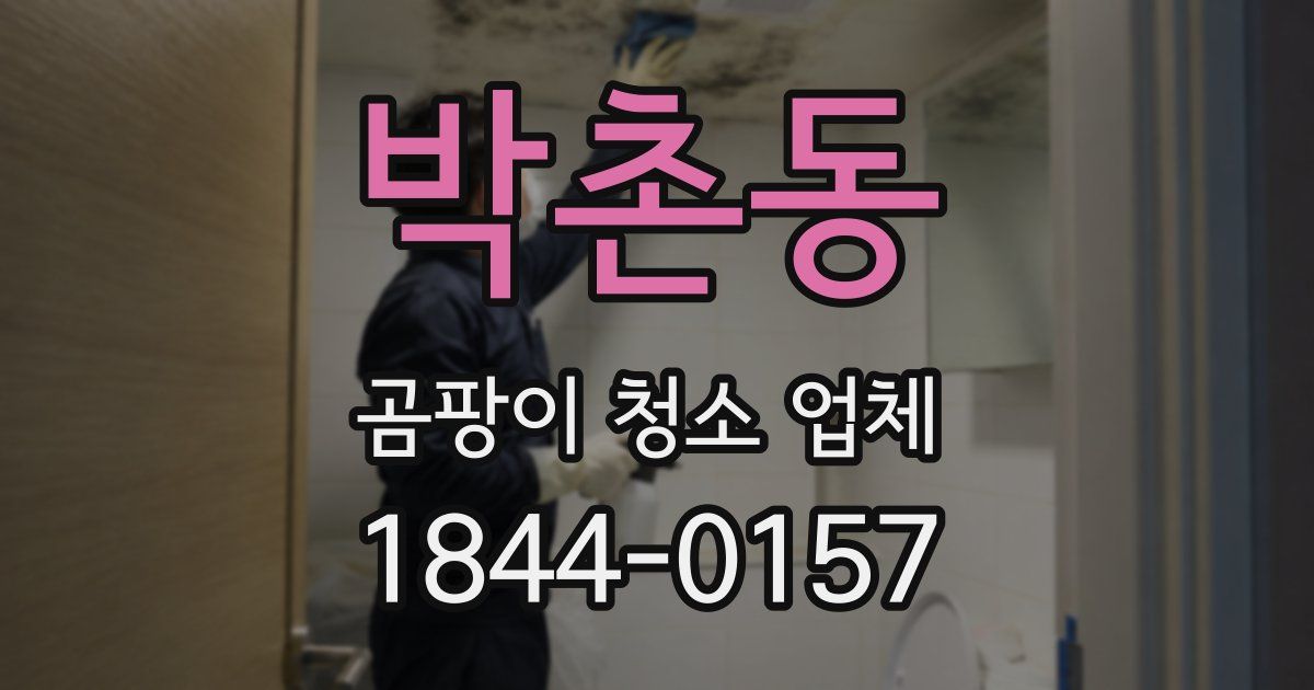 박촌동 곰팡이 청소 업체