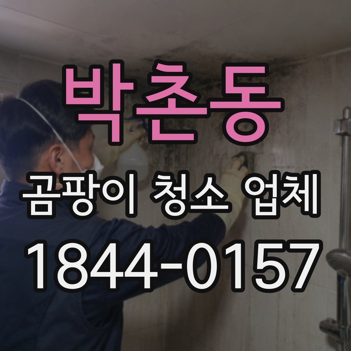 박촌동 곰팡이 청소 업체