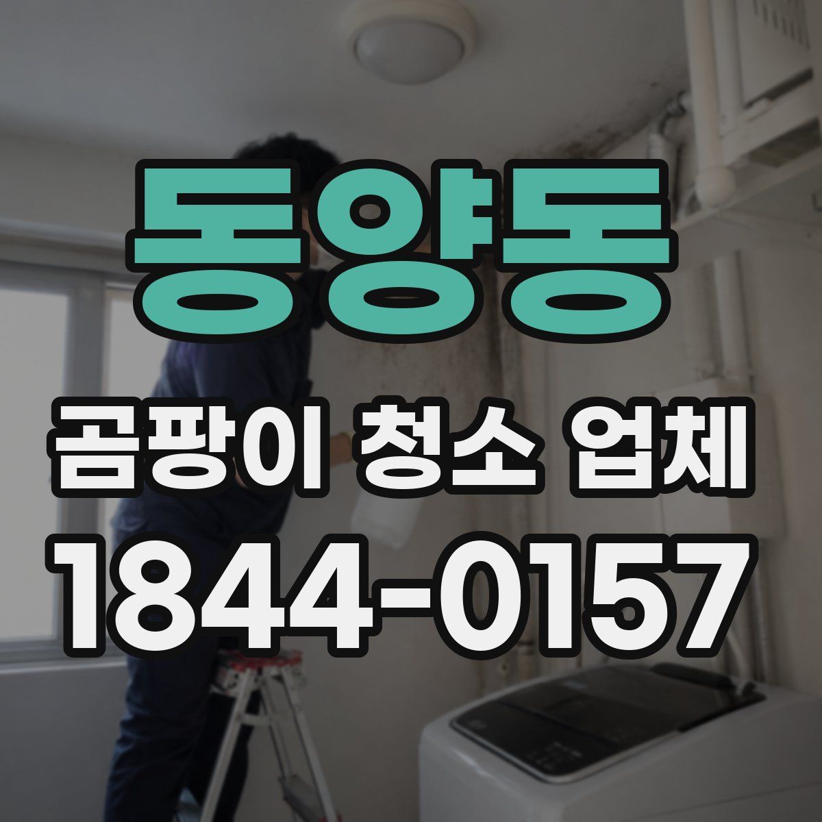 동양동 곰팡이 청소 업체