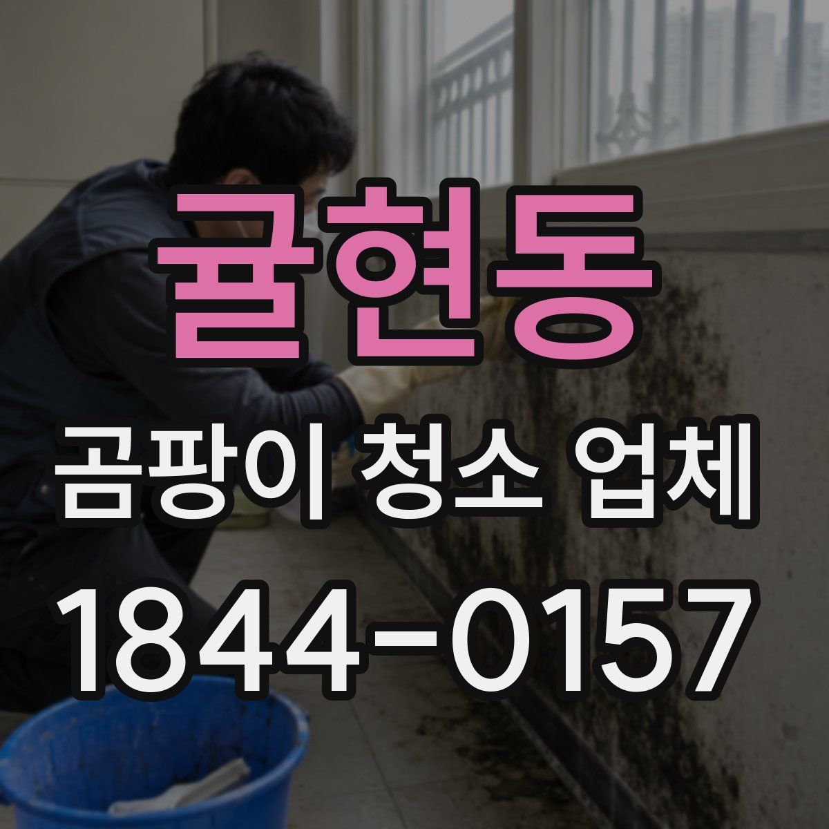 귤현동 곰팡이 청소 업체