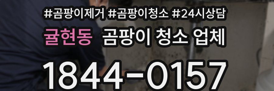 귤현동 곰팡이 청소 업체