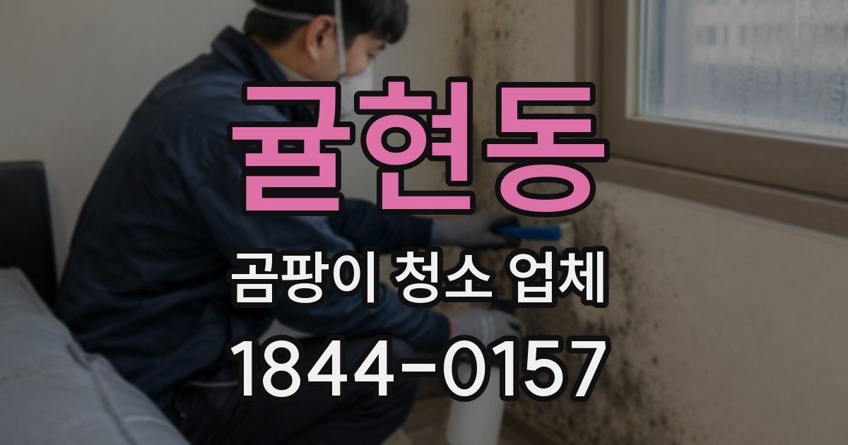 귤현동 곰팡이 청소 업체