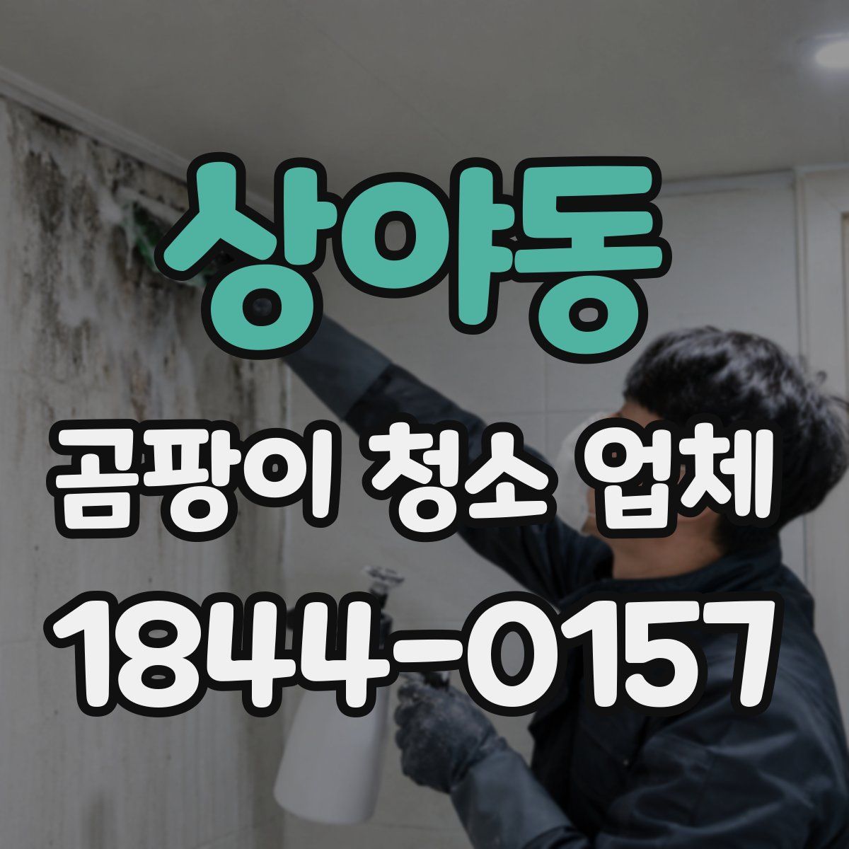 상야동 곰팡이 청소 업체