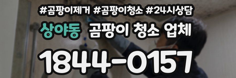 상야동 곰팡이 청소 업체