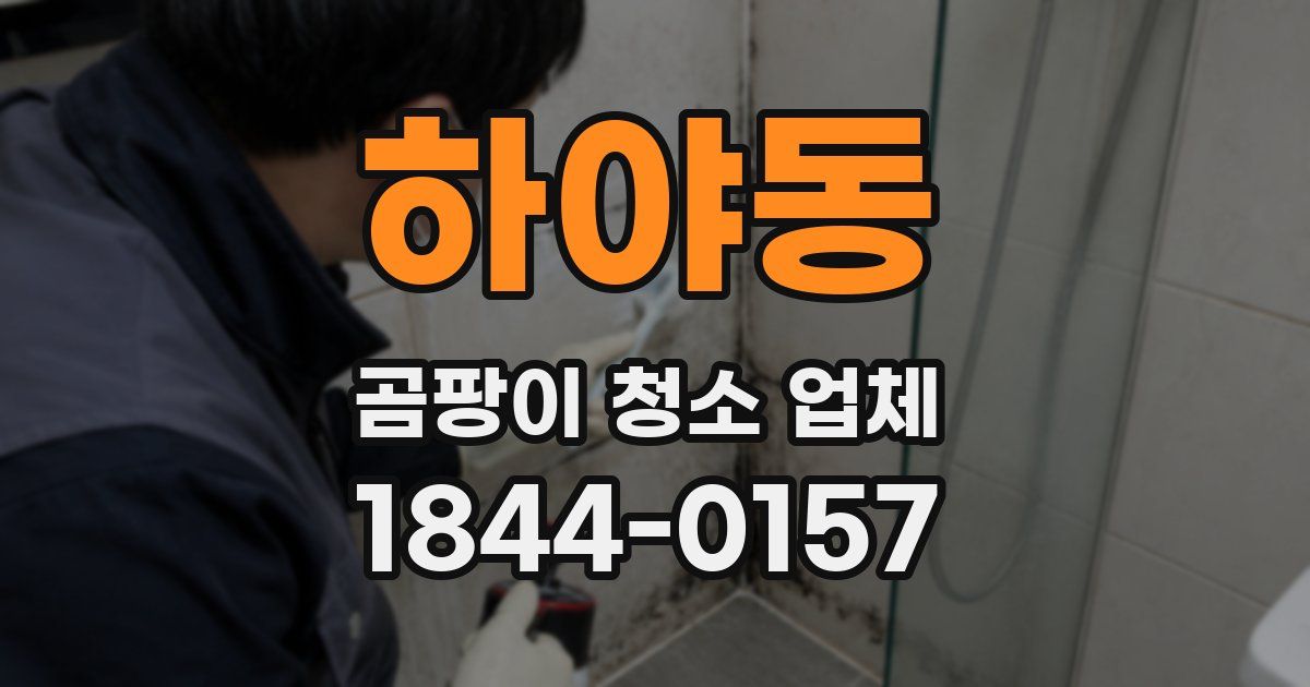 하야동 곰팡이 청소 업체