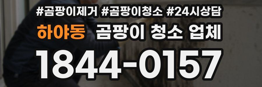 하야동 곰팡이 청소 업체