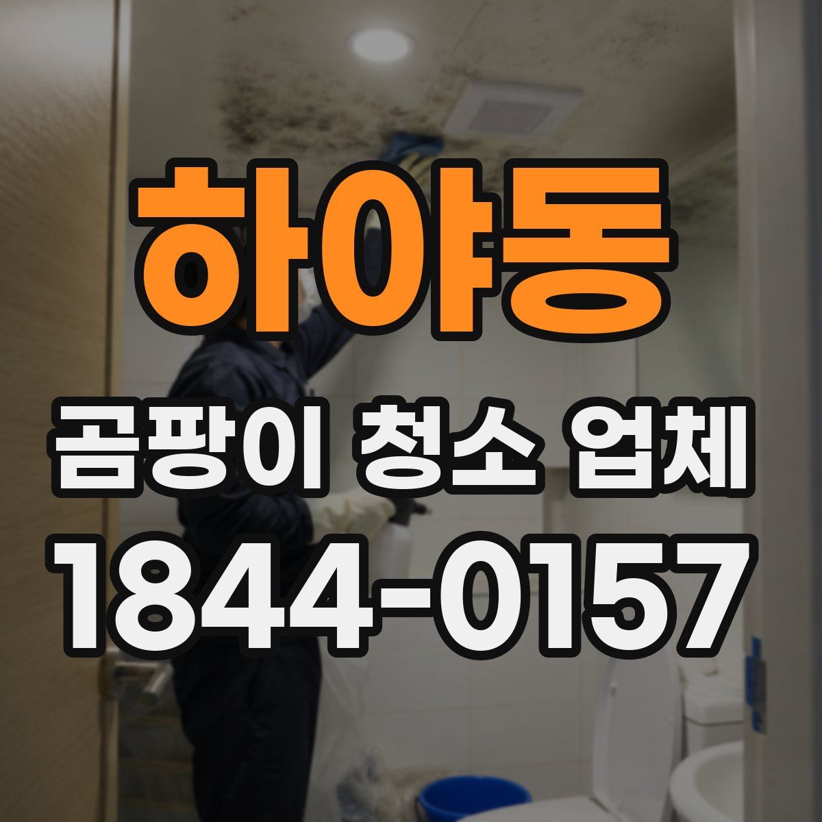 하야동 곰팡이 청소 업체
