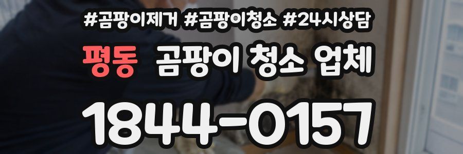 평동 곰팡이 청소 업체