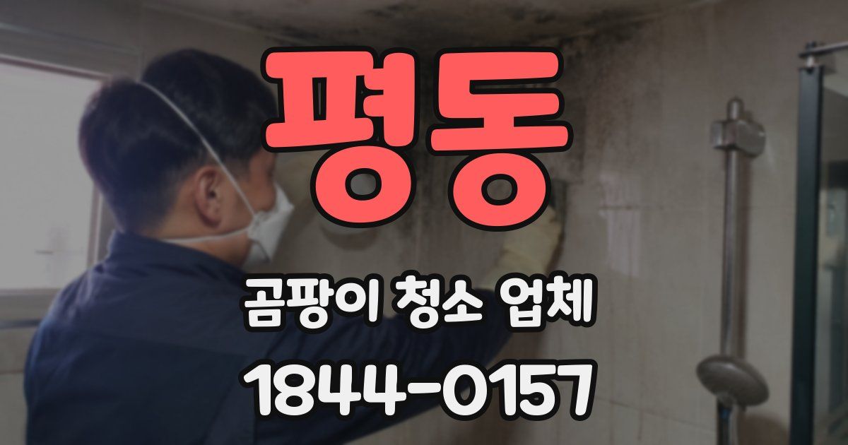 평동 곰팡이 청소 업체