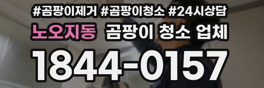 노오지동 곰팡이 청소 업체