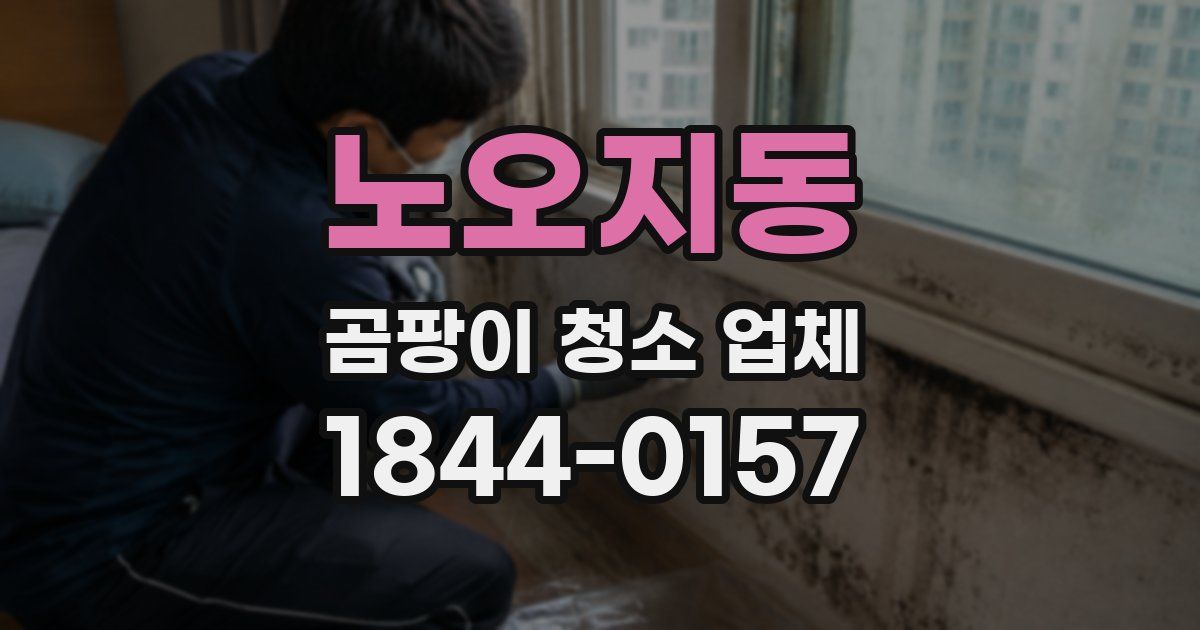 노오지동 곰팡이 청소 업체
