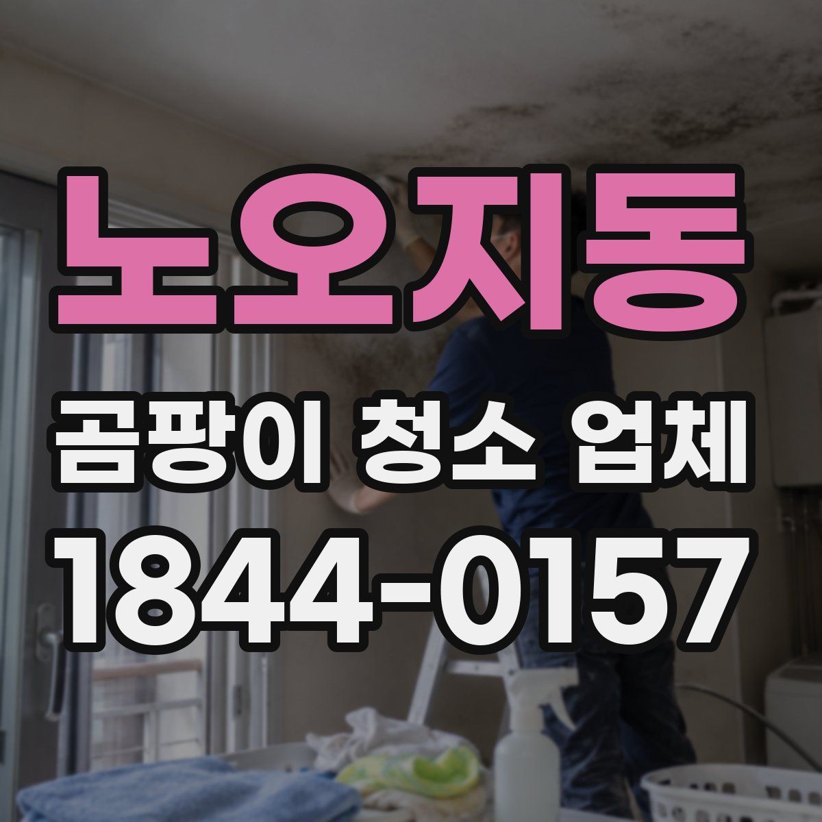 노오지동 곰팡이 청소 업체