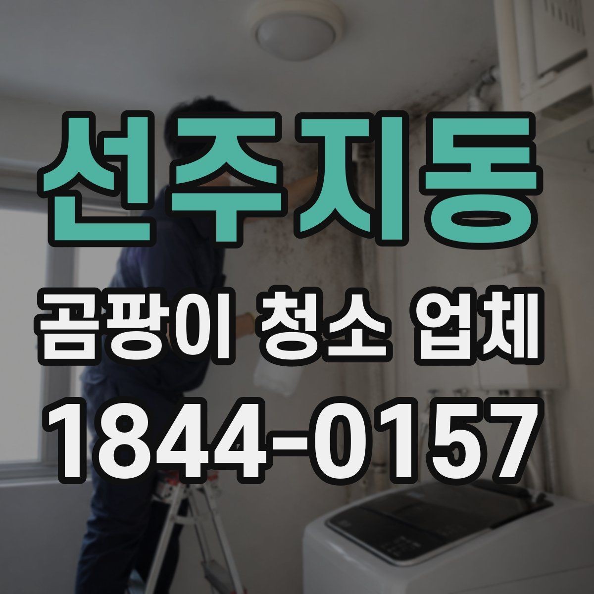선주지동 곰팡이 청소 업체 욕실 곰팡이 제거 범위를 정하는 기준