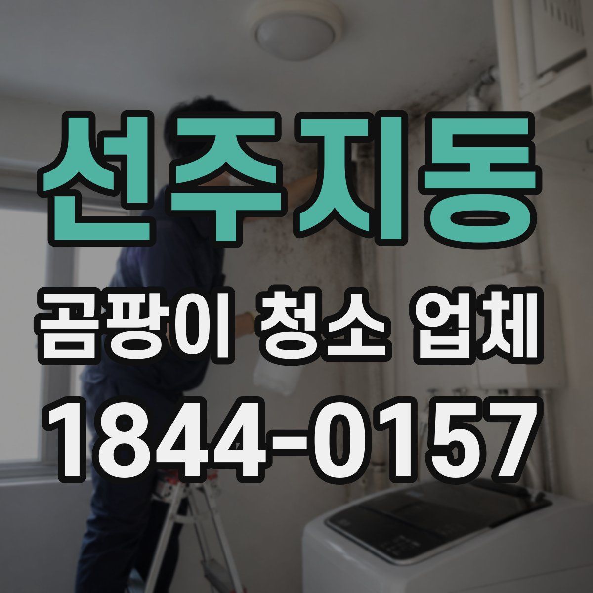 선주지동 곰팡이 청소 업체