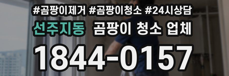 선주지동 곰팡이 청소 업체