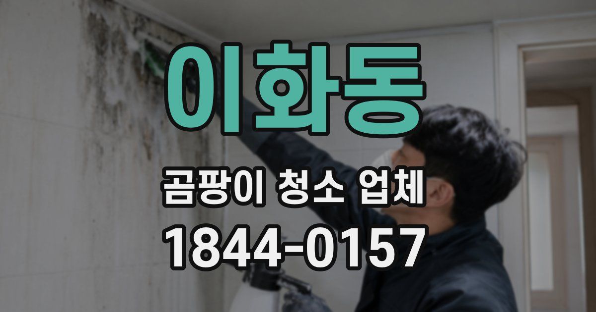 이화동 곰팡이 청소 업체