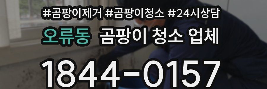 오류동 곰팡이 청소 업체