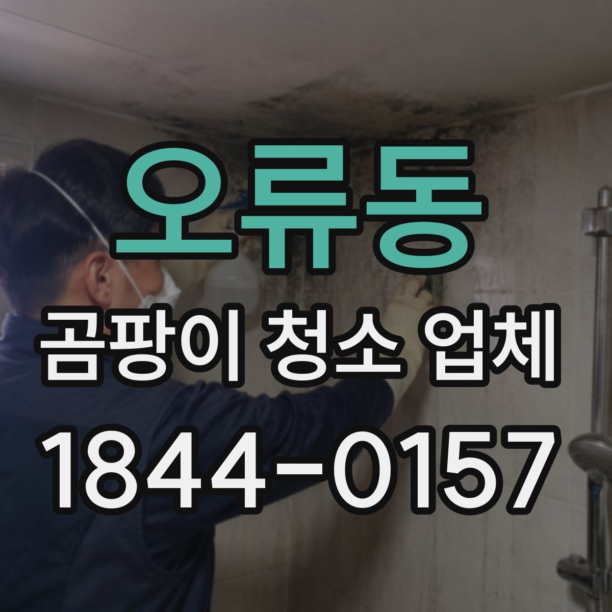 오류동 곰팡이 청소 업체