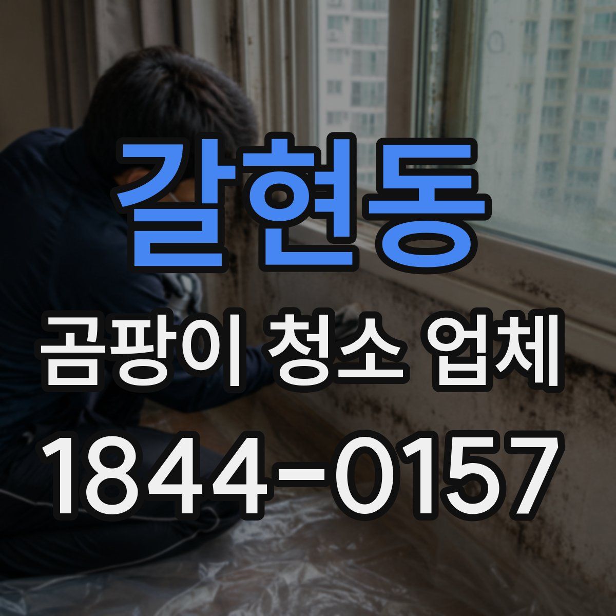 갈현동 곰팡이 청소 업체