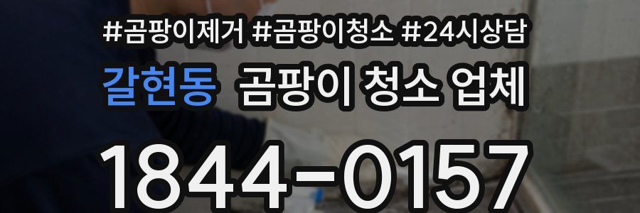 갈현동 곰팡이 청소 업체