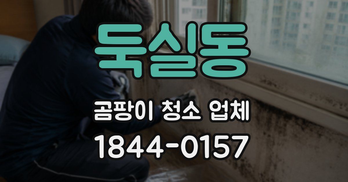둑실동 곰팡이 청소 업체