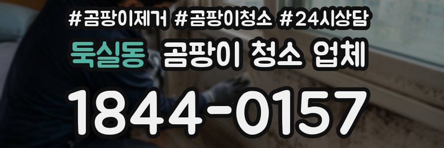 둑실동 곰팡이 청소 업체