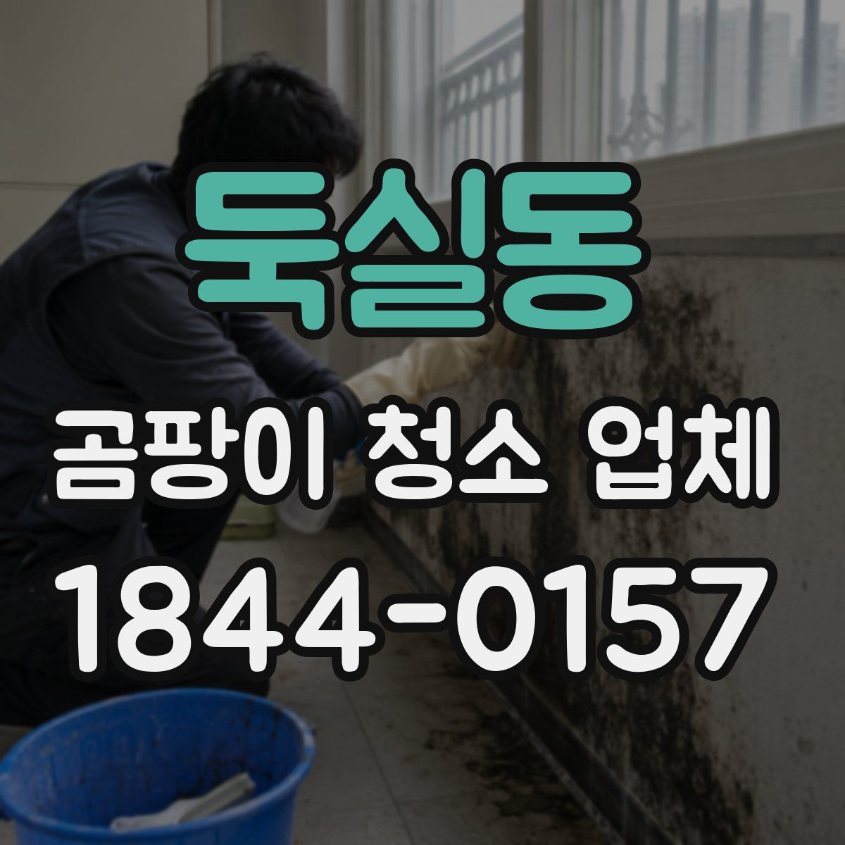 둑실동 곰팡이 청소 업체