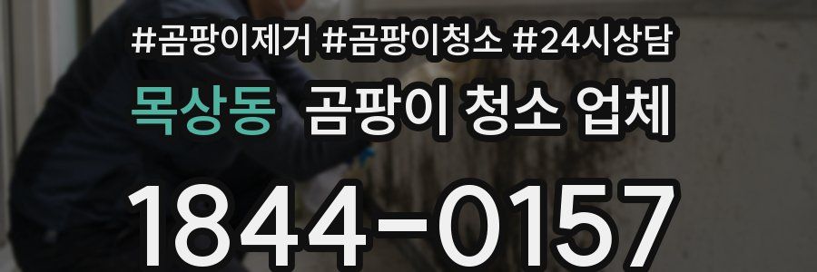 목상동 곰팡이 청소 업체