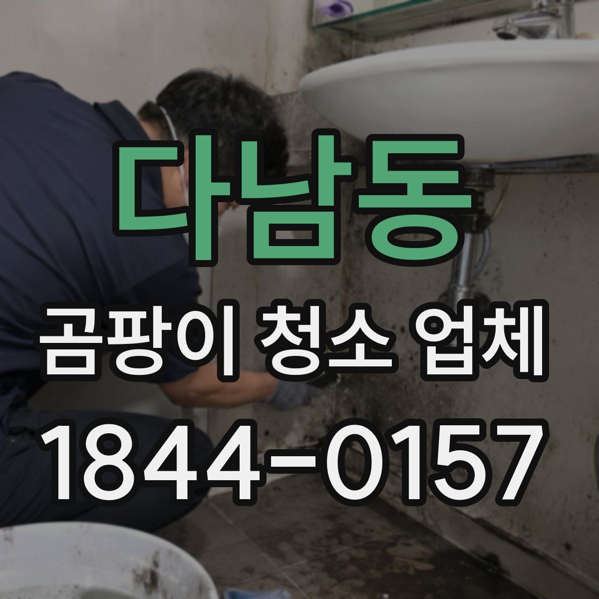 다남동 곰팡이 청소 업체
