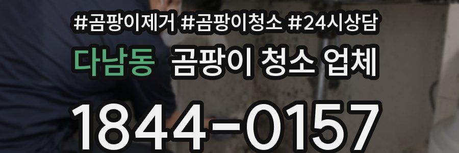 다남동 곰팡이 청소 업체