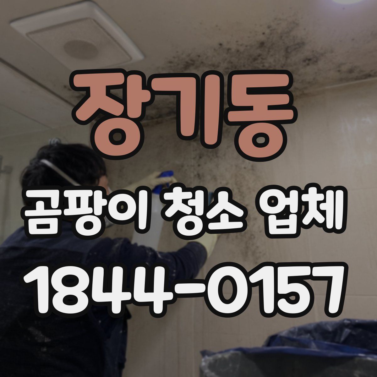 장기동 곰팡이 청소 업체