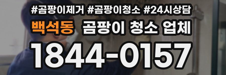 백석동 곰팡이 청소 업체
