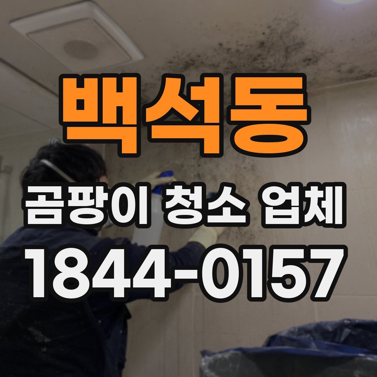 백석동 곰팡이 청소 업체