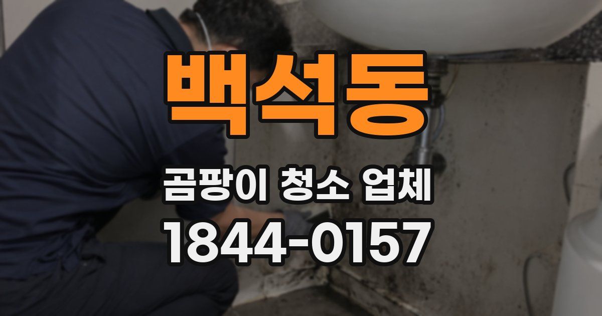 백석동 곰팡이 청소 업체