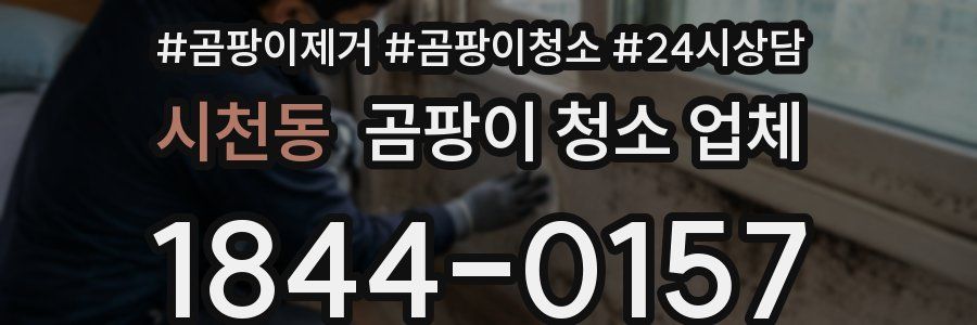 시천동 곰팡이 청소 업체