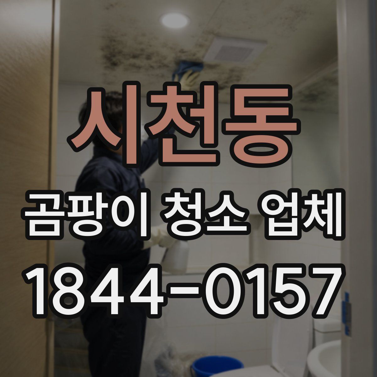 시천동 곰팡이 청소 업체