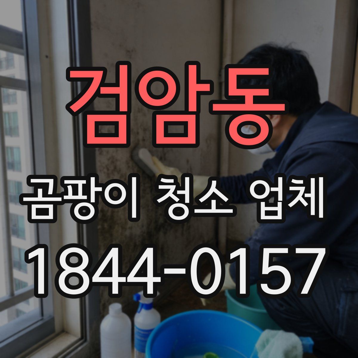 검암동 곰팡이 청소 업체