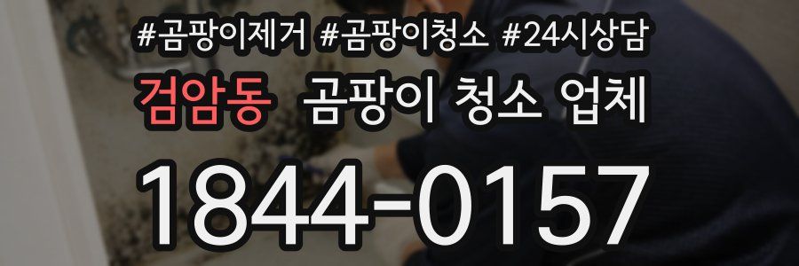 검암동 곰팡이 청소 업체