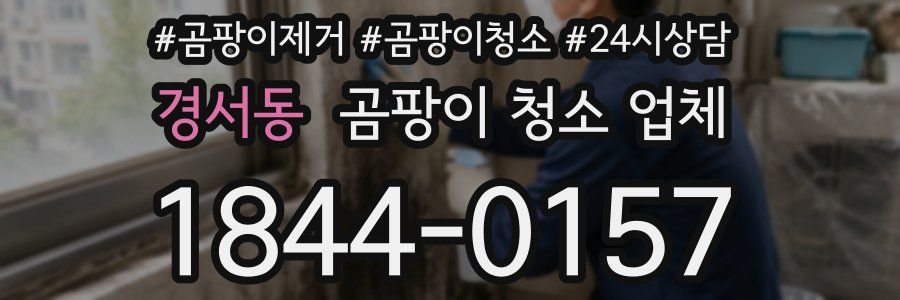 경서동 곰팡이 청소 업체