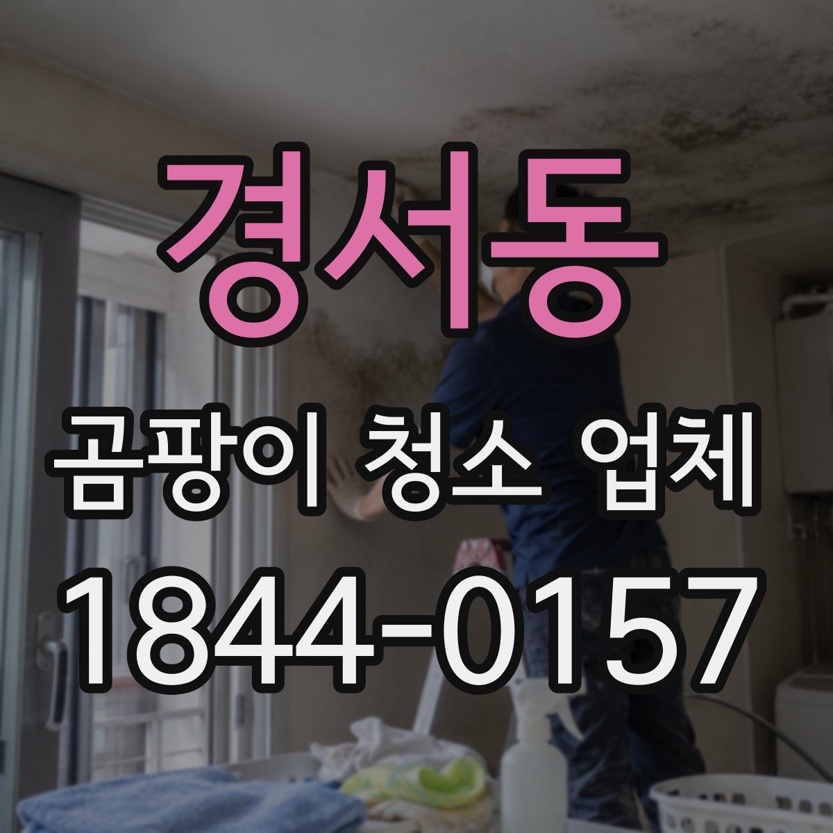 경서동 곰팡이 청소 업체