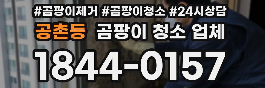 공촌동 곰팡이 청소 업체